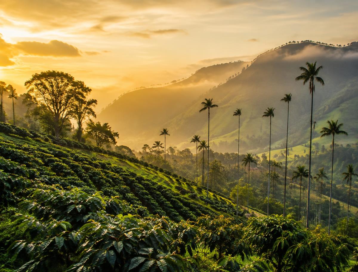 Eje Cafetero